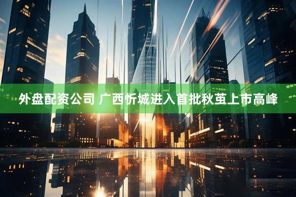 外盘配资公司 广西忻城进入首批秋茧上市高峰