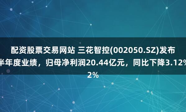 配资股票交易网站 三花智控(002050.SZ)发布半年度业绩，归母净利润20.44亿元，同比下降3.12%